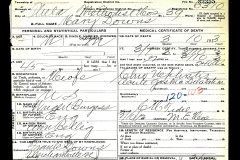 Death Certificate, Mary Hannah Burgess Downes