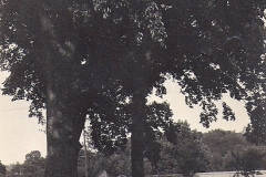 Ralph A Downes, Ralph T Downes and Hazel T Downes