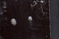 Ralph Torrance Downes 1941